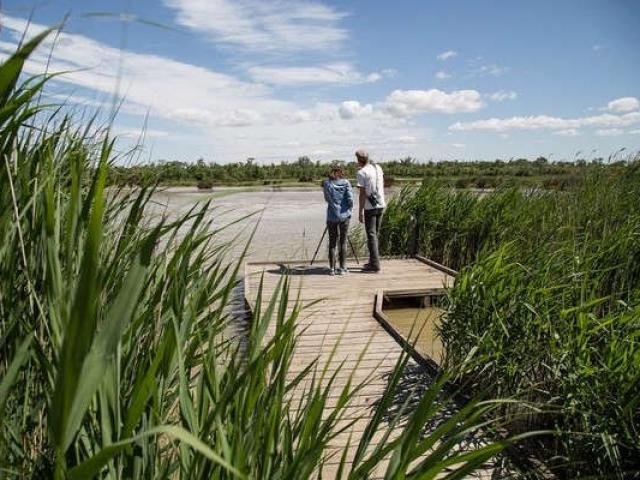 Ecotourisme Maraisvigueirat Camargue Paca Tseray 1