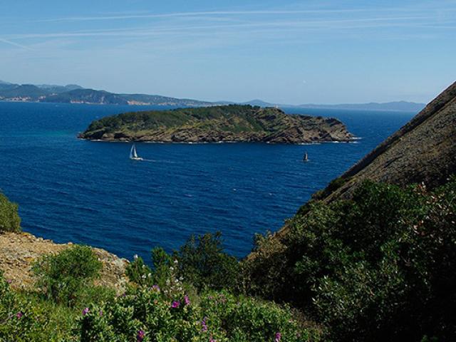 ile-verte-parc-mugel-la-ciotat-btriffaux.jpg