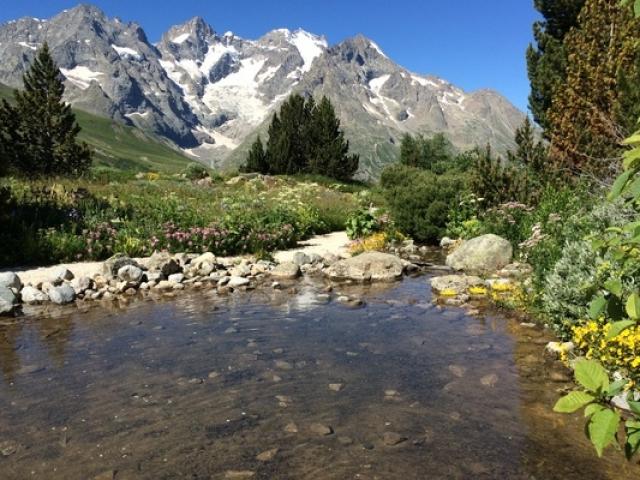 Jardin Du Lautaret Alpes Sajf Jvg Ppeghaire