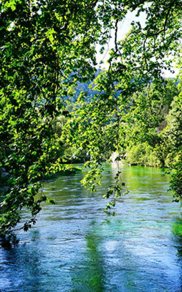 La Sorgue Hans