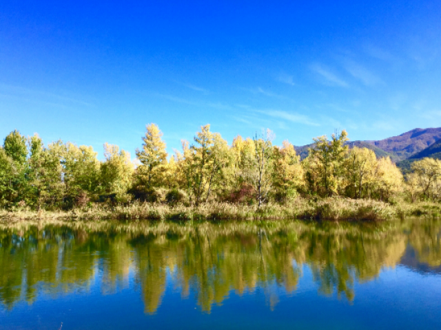 Le Lac La Saulce Alpes P Chretien