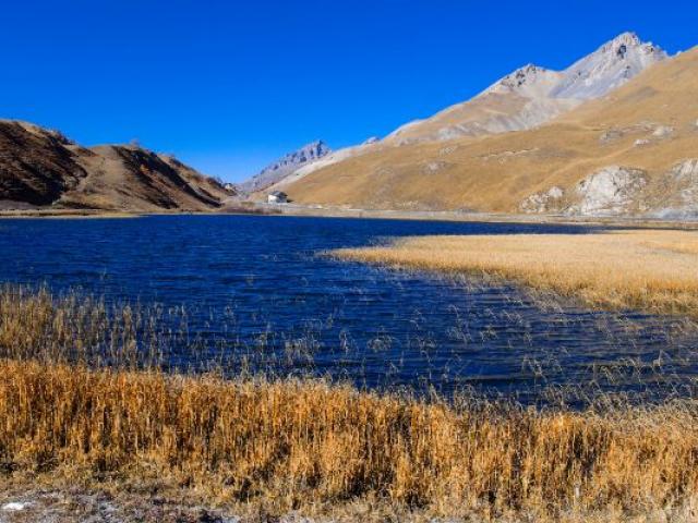 Les Ecrins A Mouton