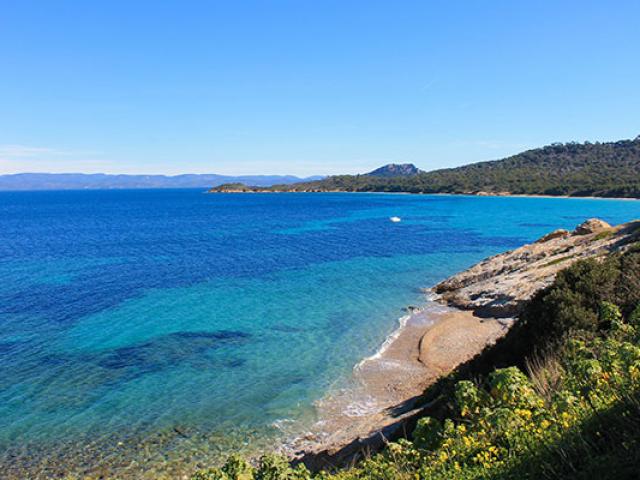 Littoral Mediterranee Porquerolles Cchillio