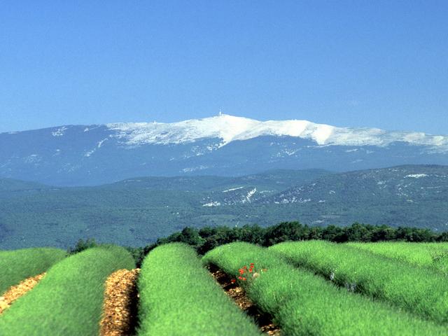 Mont Ventoux D Basse