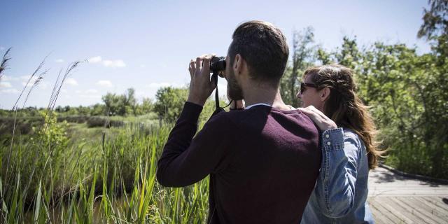 Observation Marais Vigueirat Tseray