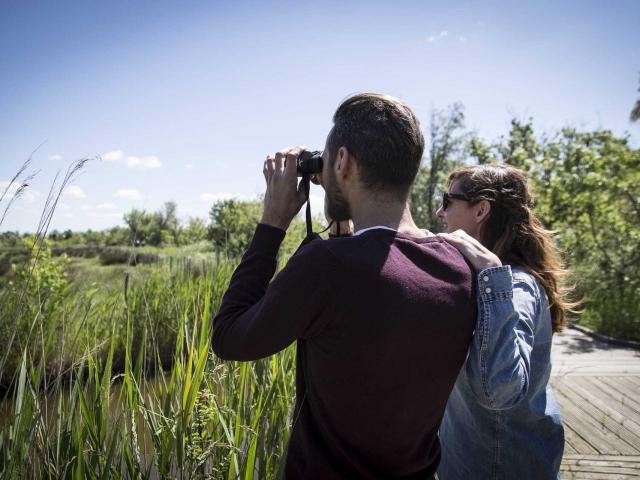 Observation Marais Vigueirat Tseray