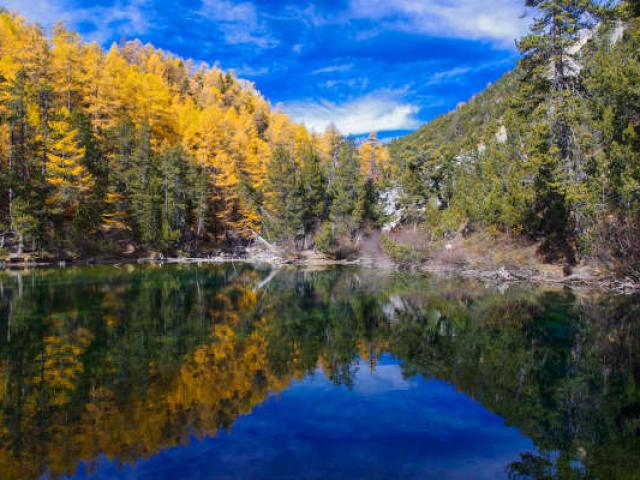 Parc Ecrins Alpes A Mouton