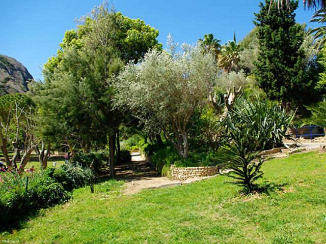 Parc Mugel La Ciotat Btriffaux