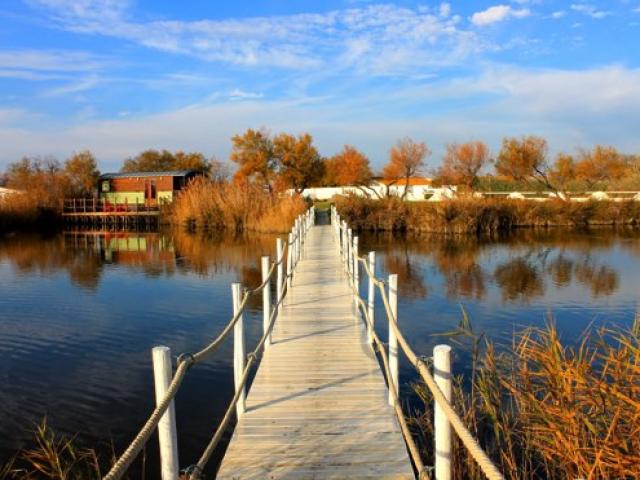 parc-naturel-regional-camargue-cchillio.jpg