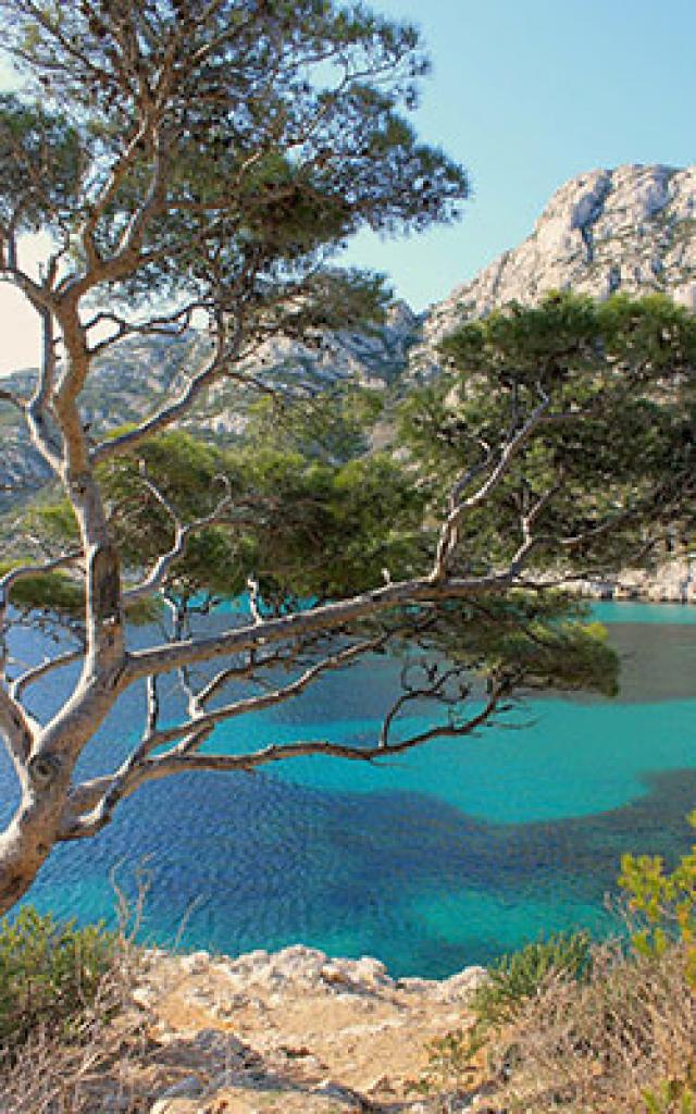 pin-calanque-cchillio.jpg