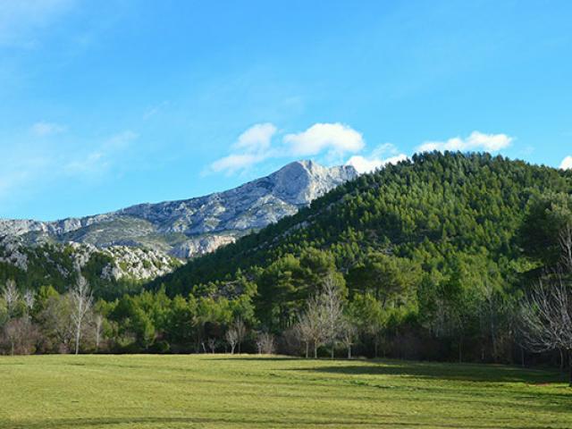 sainte-victoire-balade-nature-provence-lecreusois.jpg