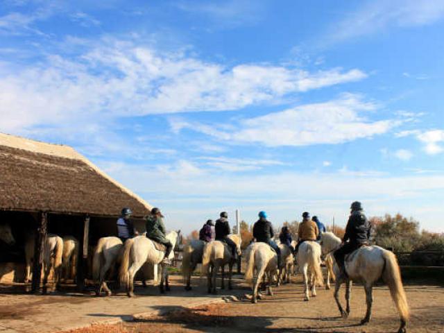 Slow Tourisme Balade Cheval Camargue Paca Chillioc