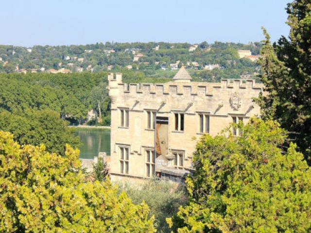 Ue Petit Palais Avignon