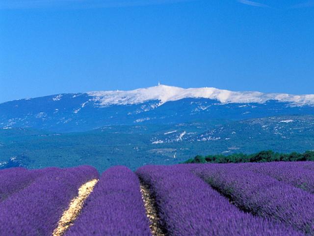 Ventoux Provence Luberon Dbasse