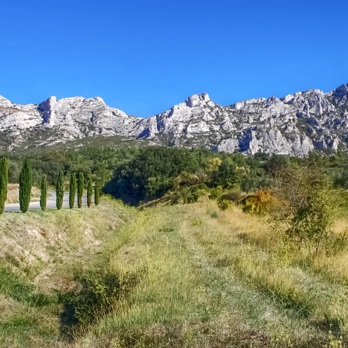 parc naturel régional des alpilles