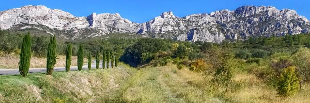 alpilles-provence-amouton.jpg