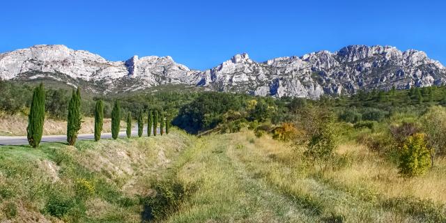 alpilles-provence-amouton.jpg