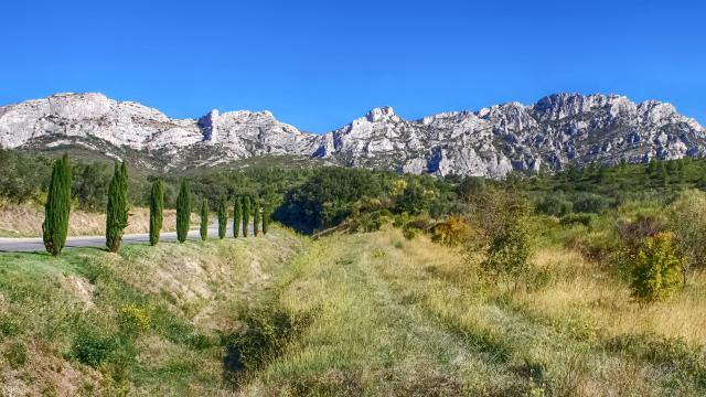 alpilles-provence-amouton.jpg