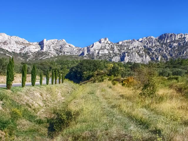 alpilles-provence-amouton.jpg