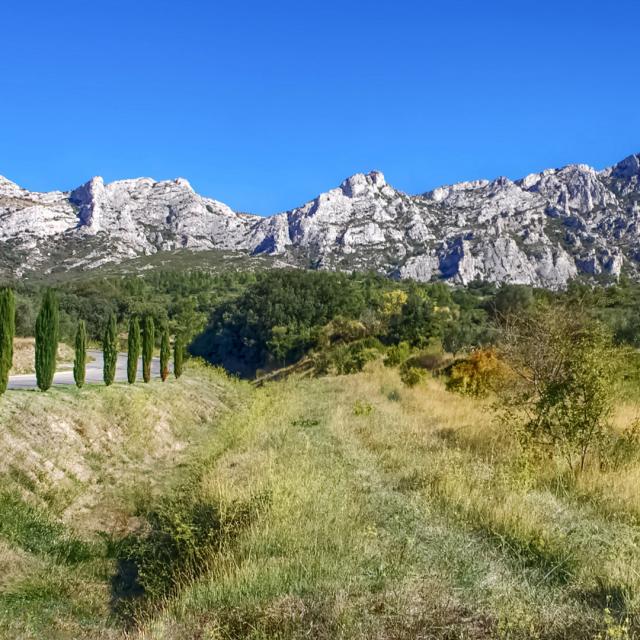 alpilles-provence-amouton.jpg