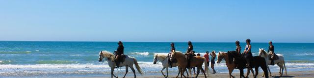 balade-cheval-plage-camargue-cchillio.jpg