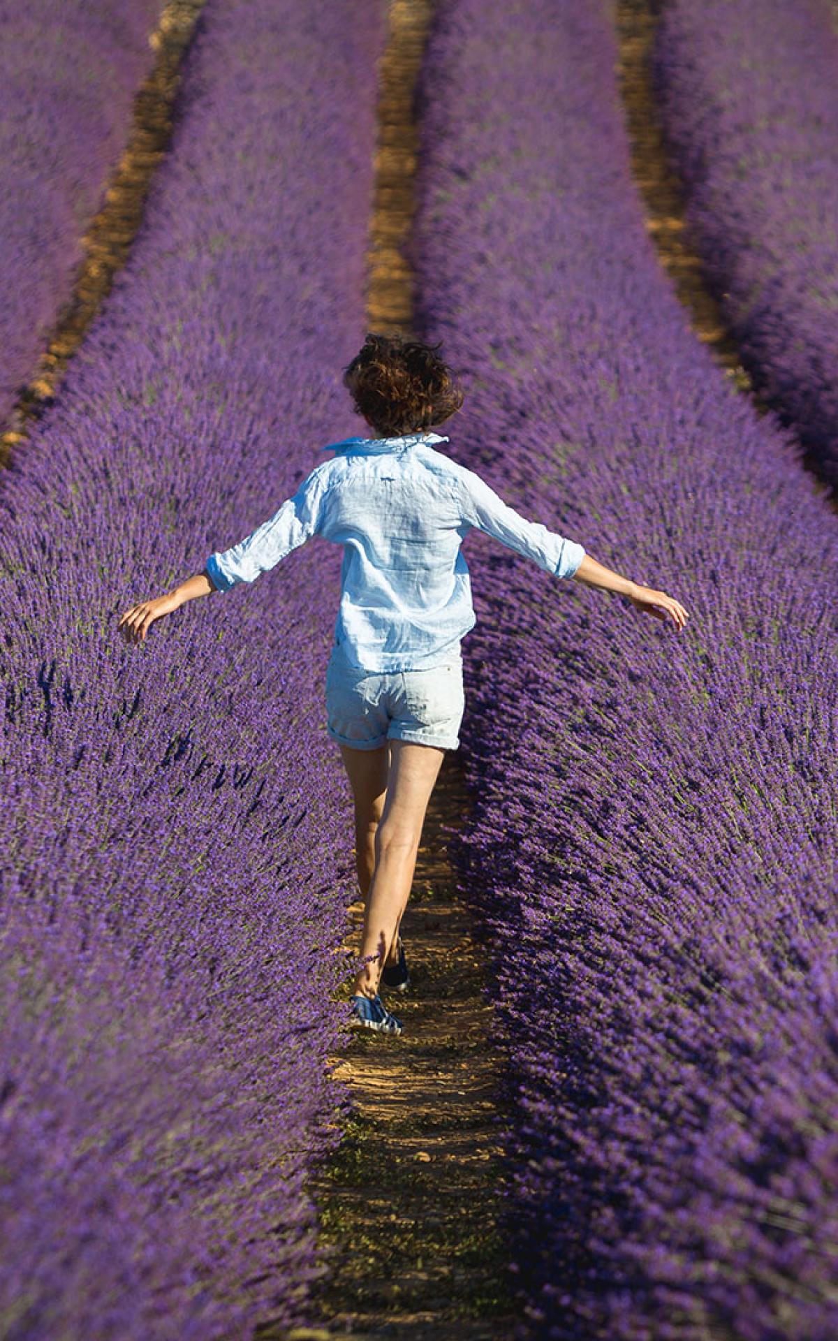 SaintTropez, Perle des Mittelmeers ProvenceAlpesCôte d’Azur Tourismus