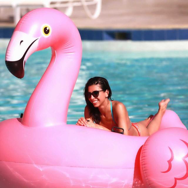 flamingo-3654498-1920.jpg