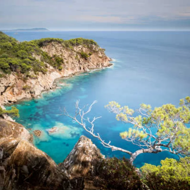 Pointe du Gabian à Port-Cros