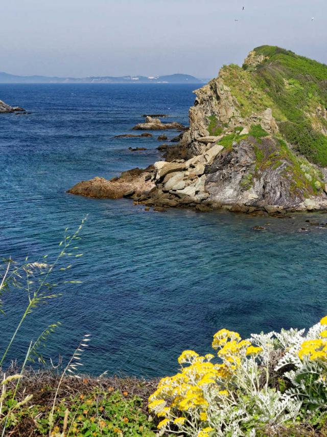 Presqu'île de Giens