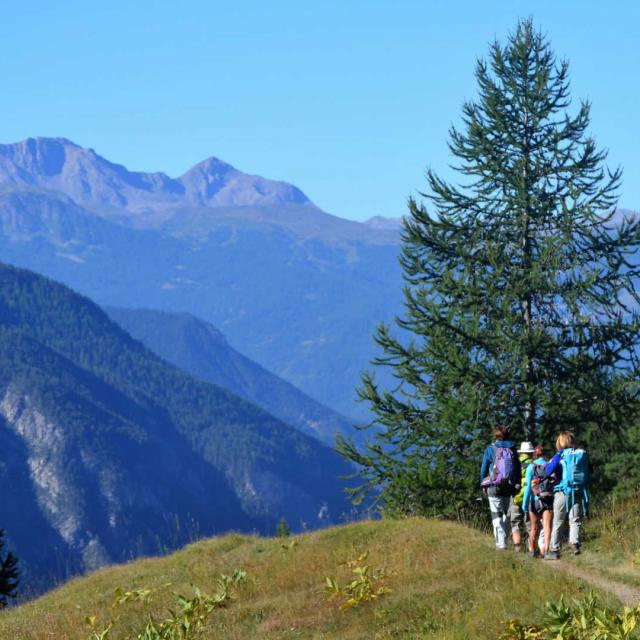 randonneehautesalpes-pnrqueyras-sejourautempsdesestives.jpg