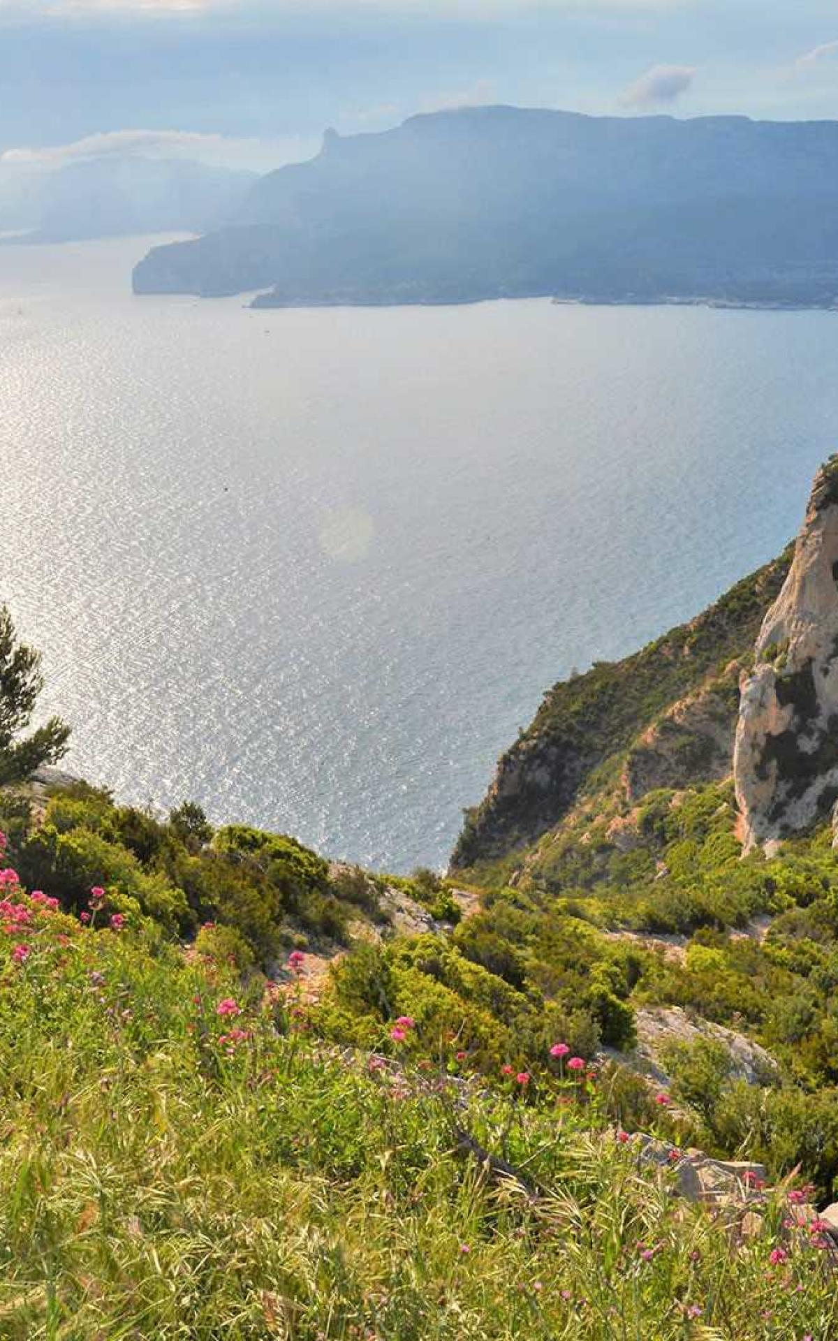 Bandol Geheimtipps und Sehenswürdigkeiten ProvenceAlpesCôte d