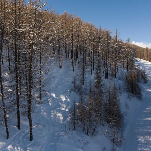 serre-chevalier-paca-istock-509252149.jpg