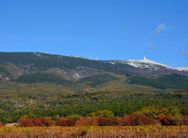 Vigne Automne Ventoux Pnr V Thomann Pnrventoux 1