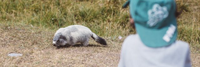 Enfant Marmotte Crt Paca
