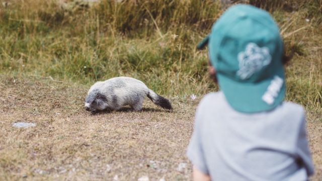 Enfant Marmotte Crt Paca