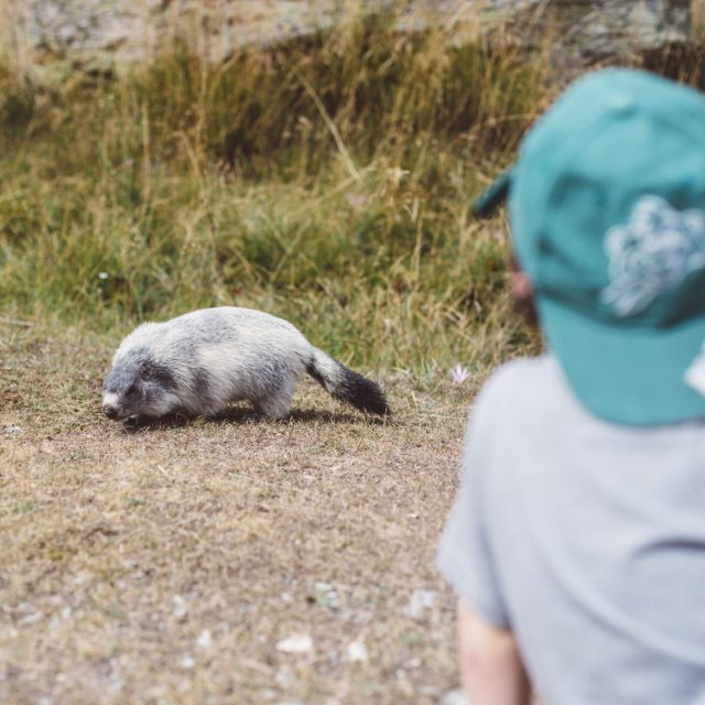 enfant-marmotte-crt-paca-e1689595048565.jpg