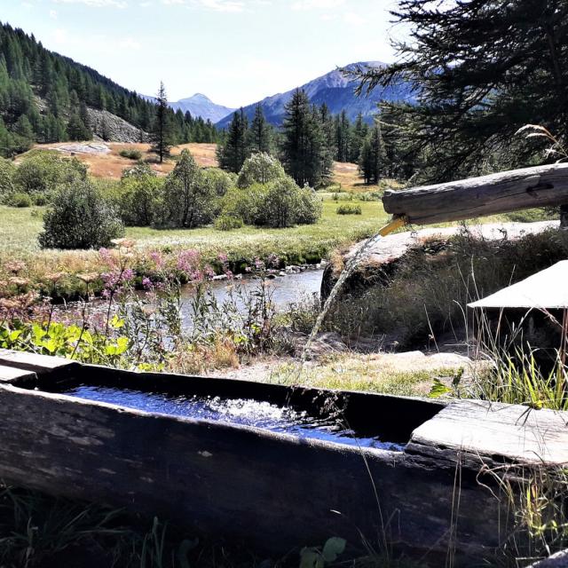 Drinking trough at Névache