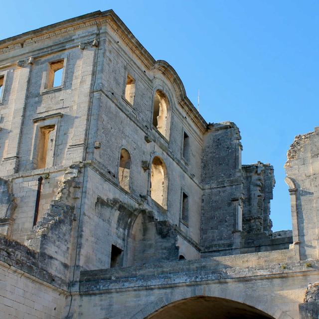 Abbaye de Montmajour-Arles-CChillio