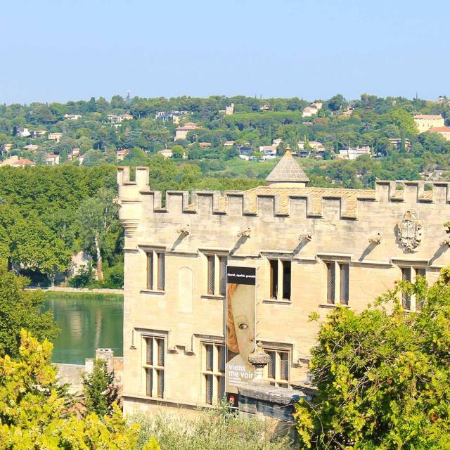 Musee Petit Palais Avignon Cchillio