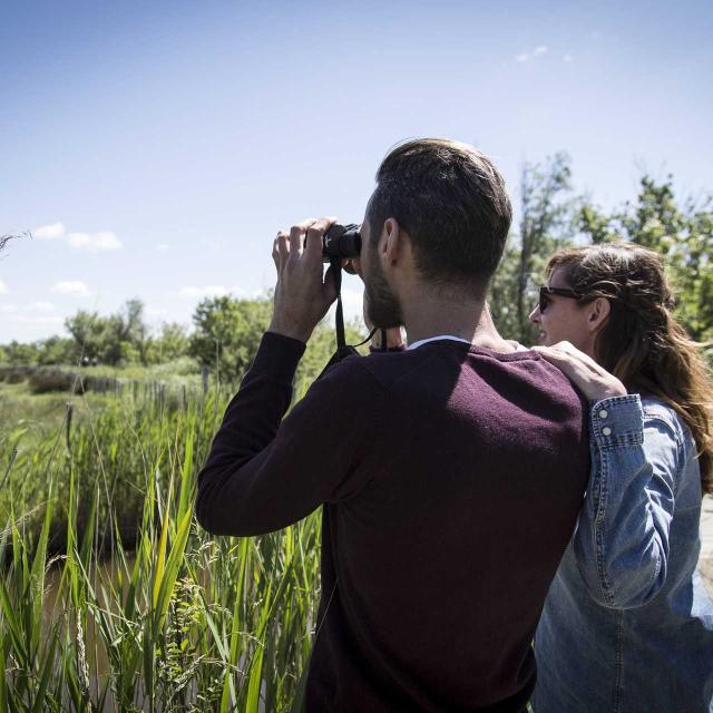 observation-marais-vigueirat-tseray-1.jpg