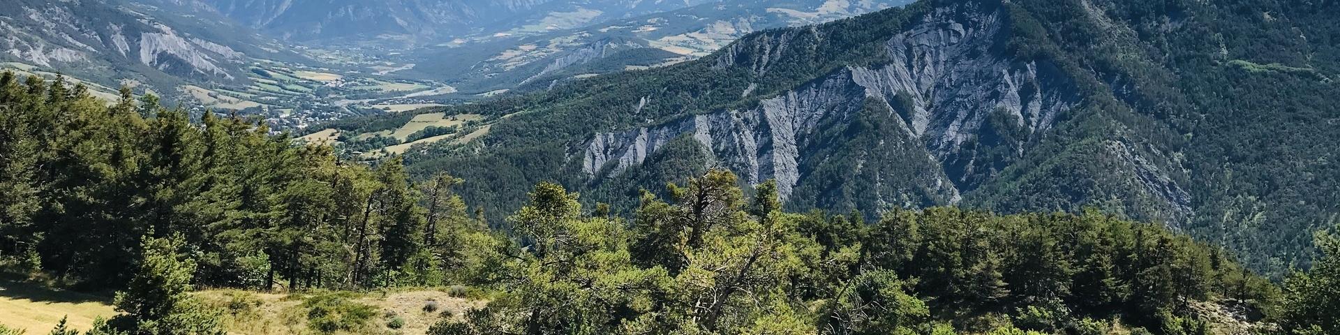 Pra Loup Paca Sdragon