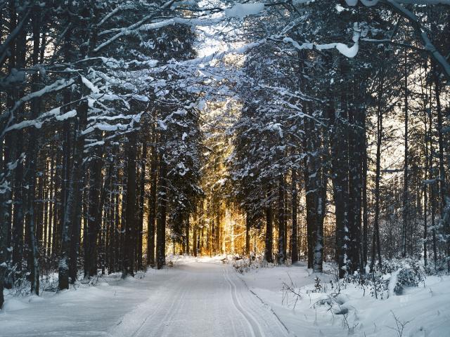 Ski De Fond Peira Cava Alpes Bipixabay 1