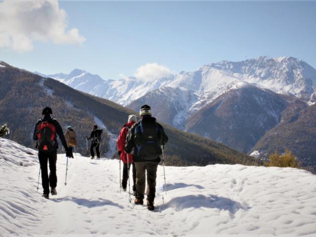 Randonnee Nature Neige Queyras Alpes