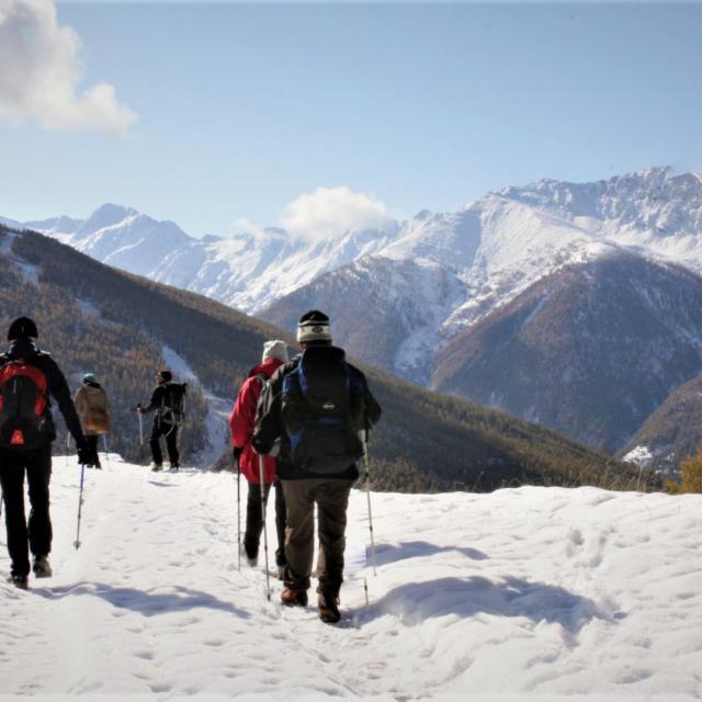 Randonnee Nature Neige Queyras Alpes