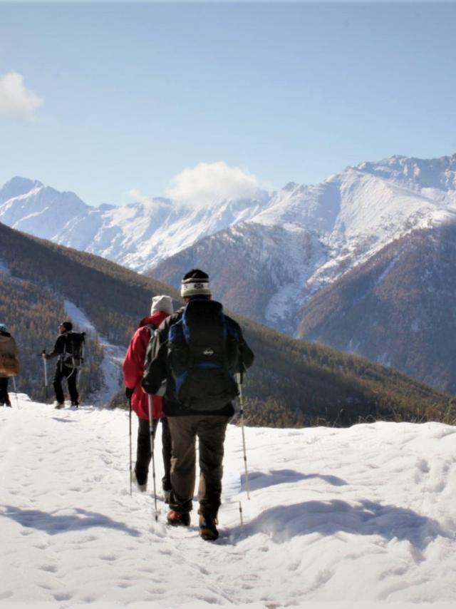 Randonnee Nature Neige Queyras Alpes