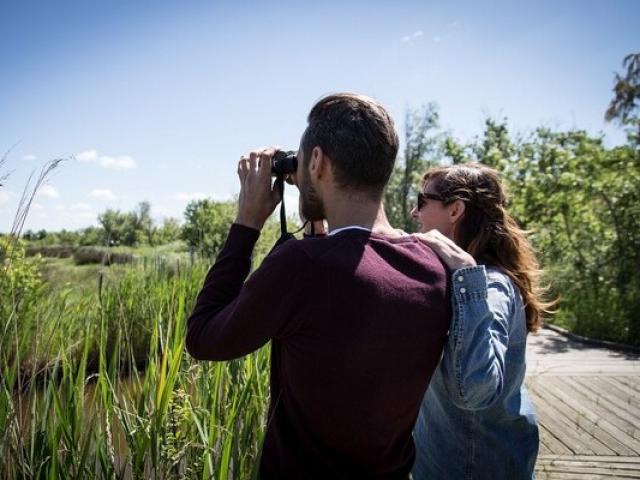 balade-nature-camargue-marais-du-vigueirat-provence.jpg