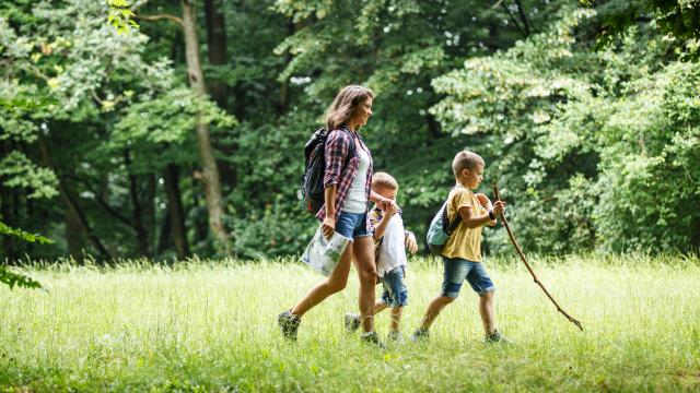 balade-nature-famille-provence-as253044842.jpeg