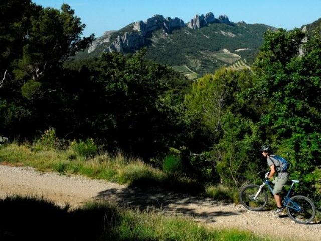 velo-vaucluse-provence-wfautre.jpg