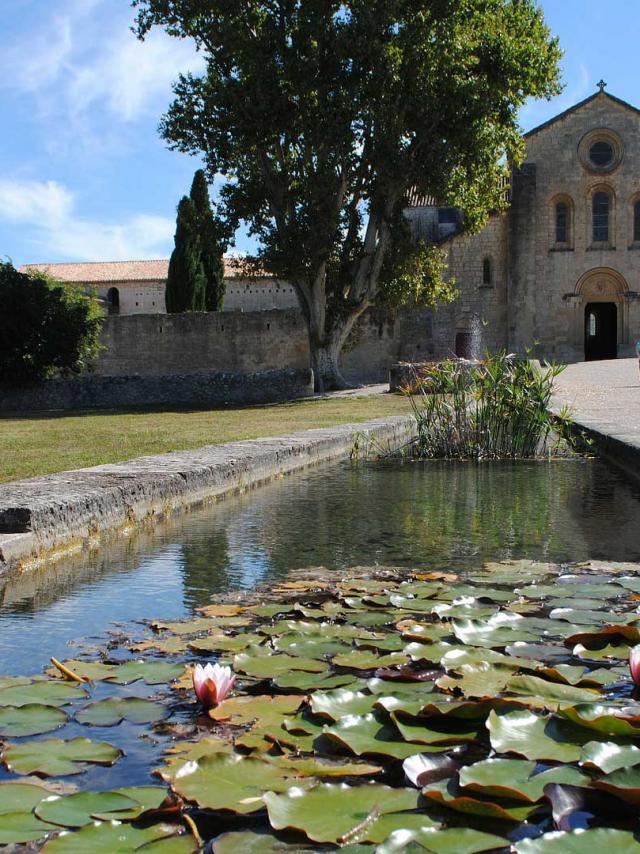 Abbaye Silvacane W.goehner