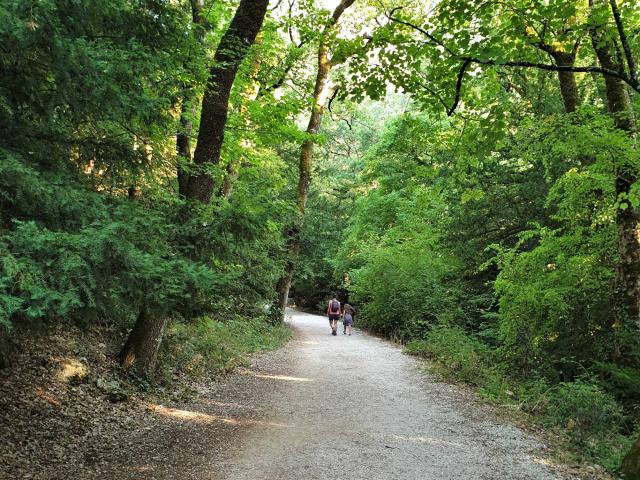 Parc Naturel Régional de la Sainte-Baume